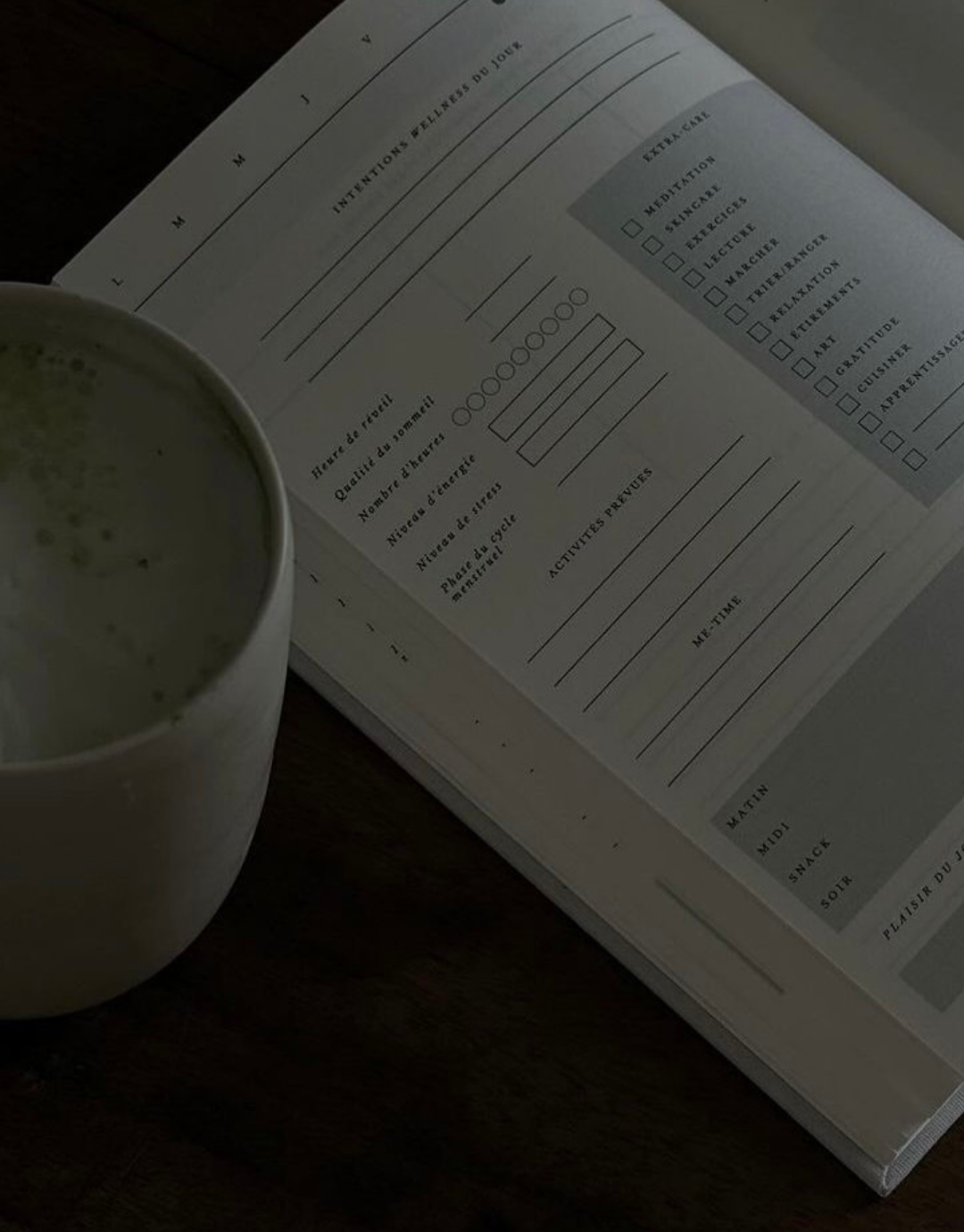 LE Wellness Book